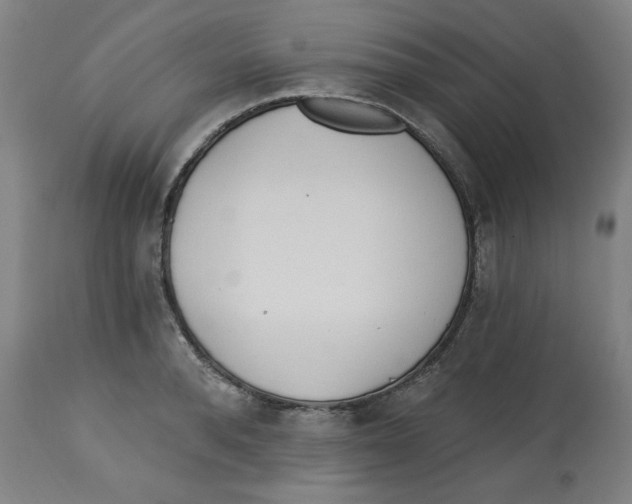 X0000112740896200909171158