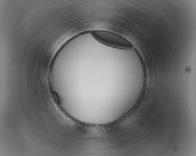 X0000112740901200909171158