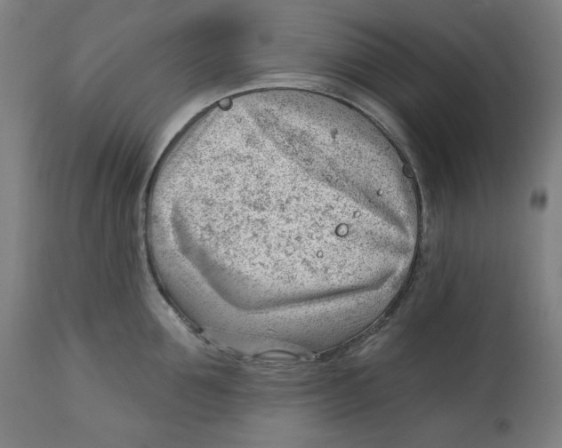 X0000112740907200909171158