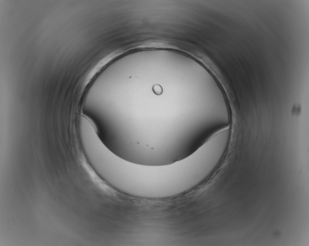 X0000112740909200909171158