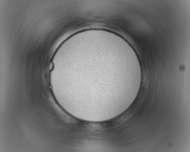 X0000112740911200909171158