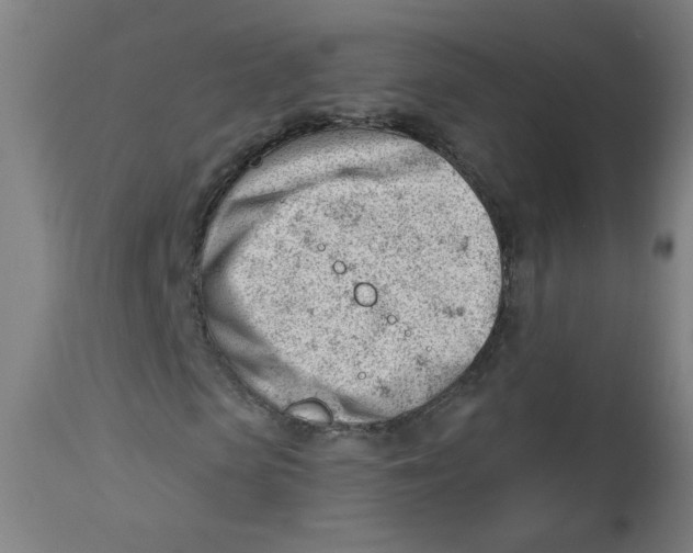 X0000112740913200909171157