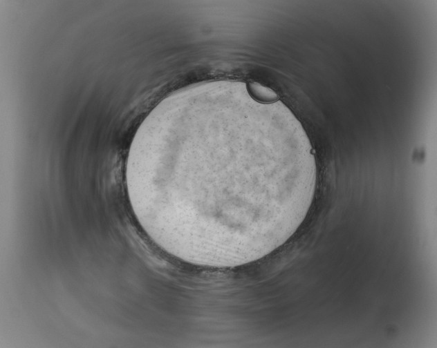 X0000112740914200909171157