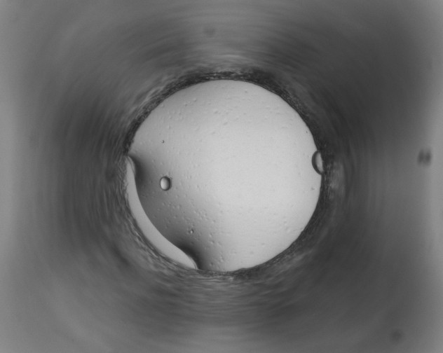 X0000112740916200909171157