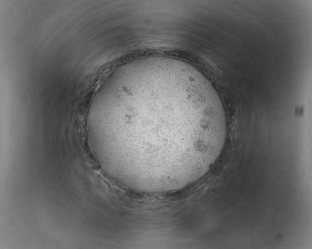 X0000112740917200909171157