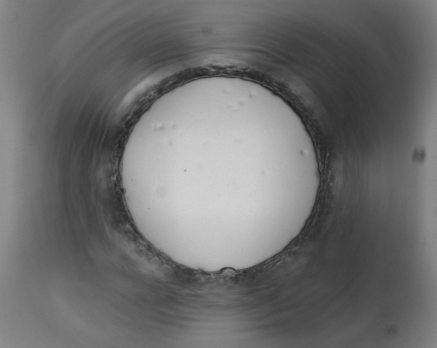 X0000112740920200909171157