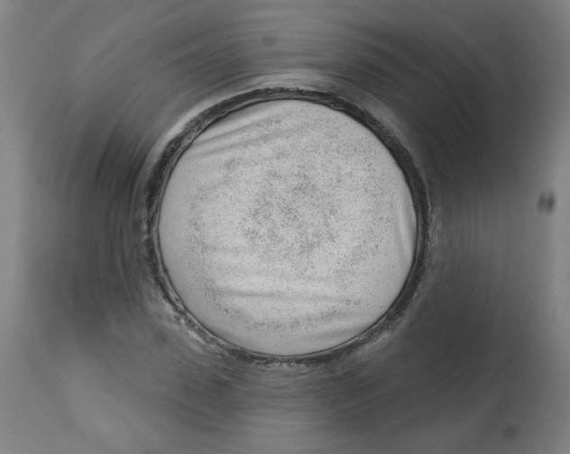 X0000112740923200909171157