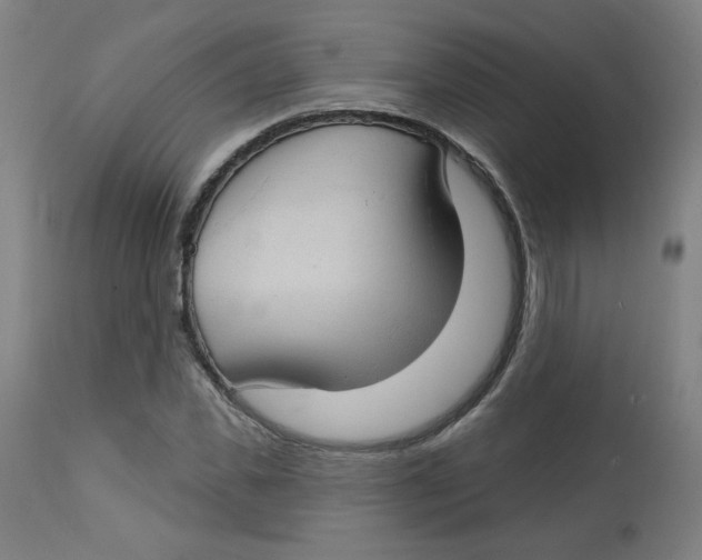 X0000112740925200909171157