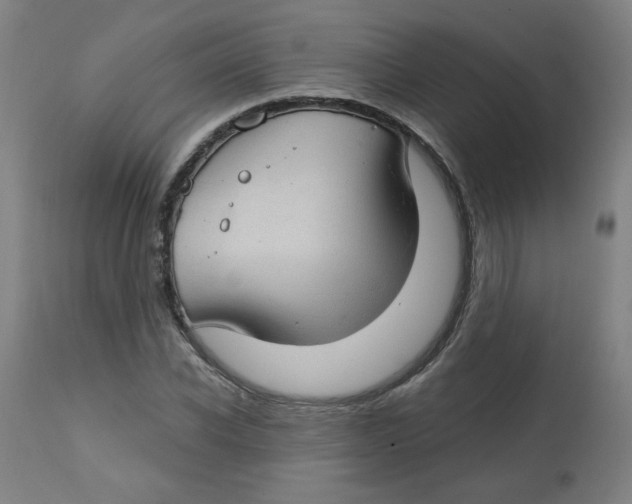 X0000112740926200909171157