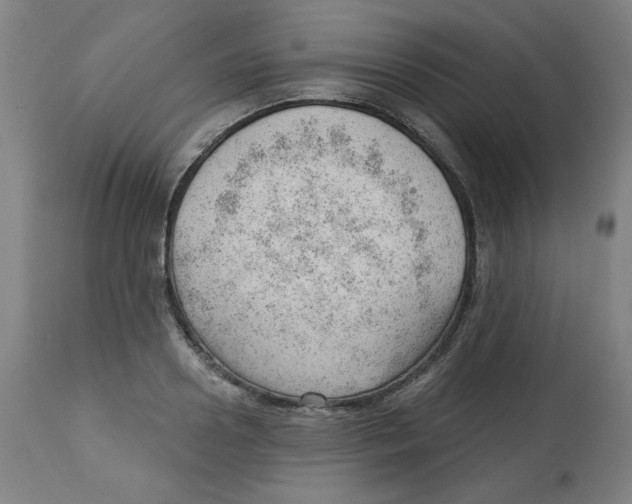 X0000112740938200909171158