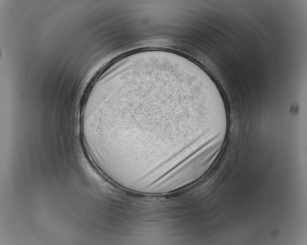 X0000112740939200909171158