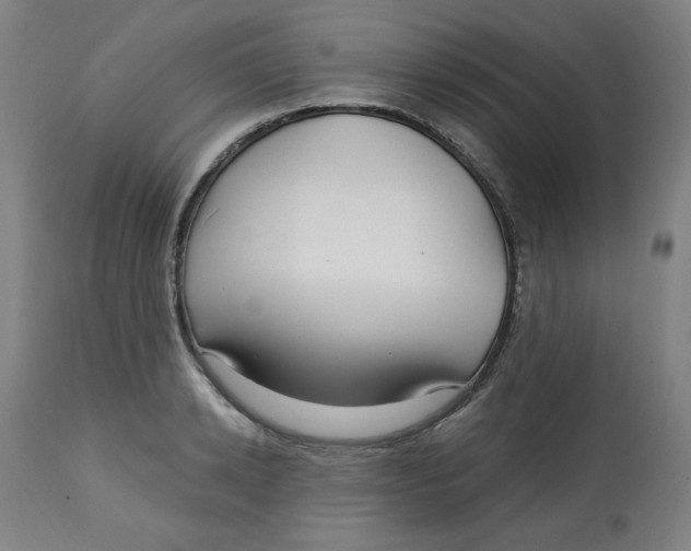 X0000112740942200909171158