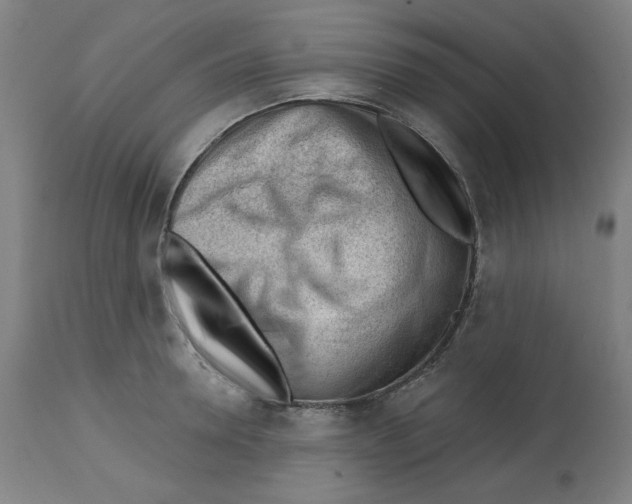 X0000112740946200909171158