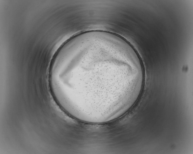 X0000112740949200909171158