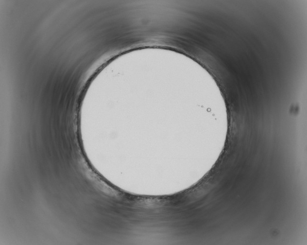 X0000112740950200909171158