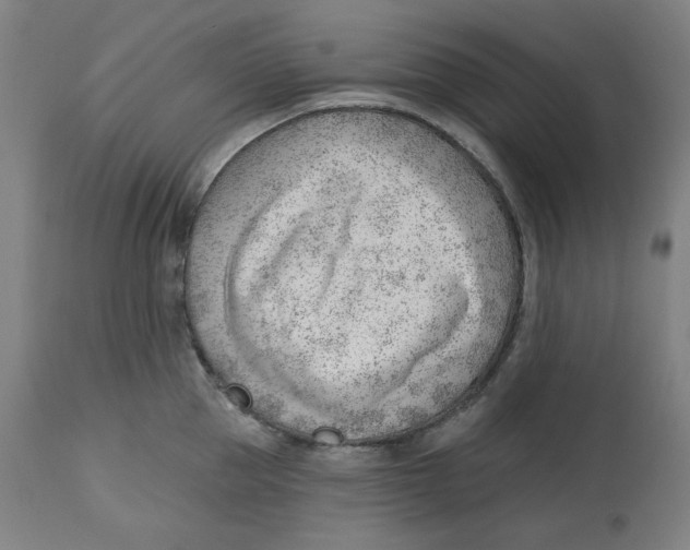 X0000112740953200909171158