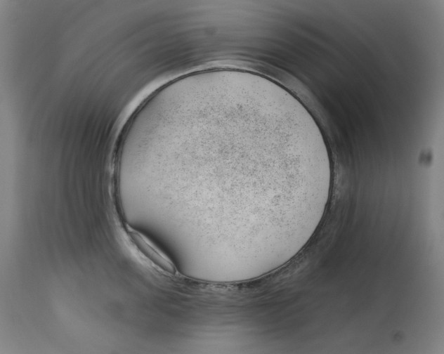 X0000112740955200909171158