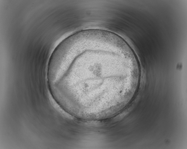 X0000112740957200909171158