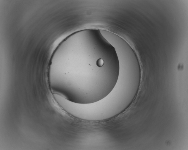 X0000112740960200909171158