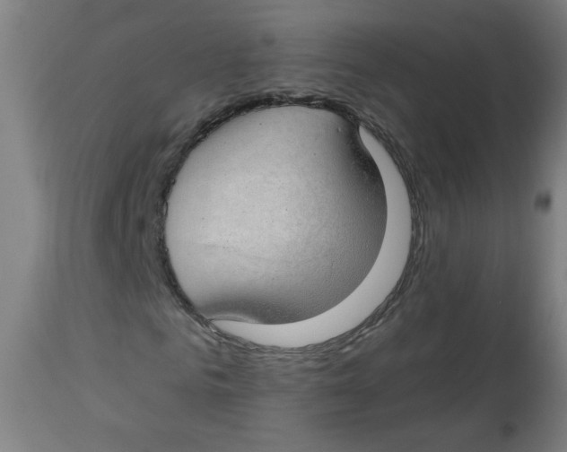 X0000112740961200909171157