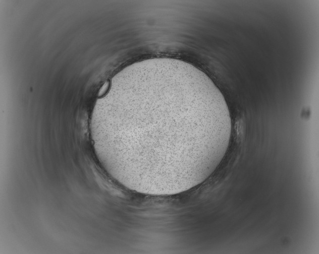 X0000112740963200909171157