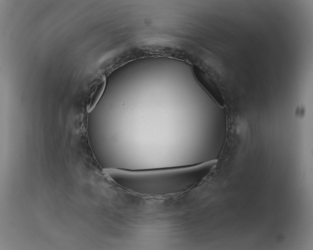 X0000112740965200909171157