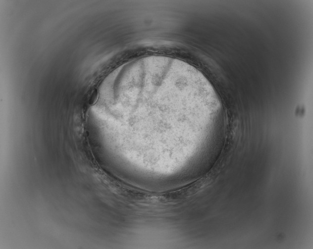 X0000112740966200909171157