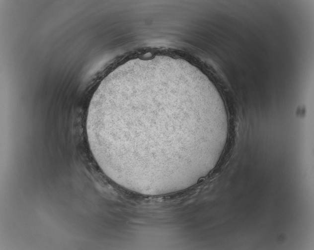 X0000112740968200909171157