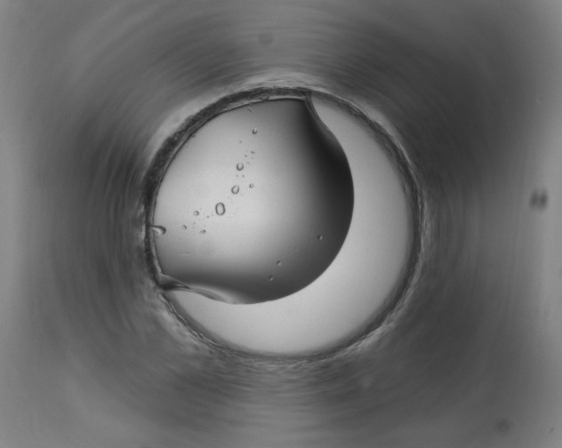 X0000112740973200909171157