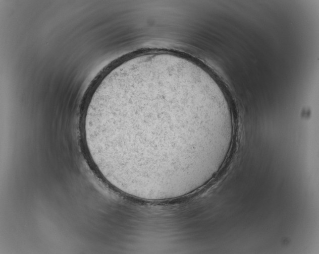 X0000112740976200909171157