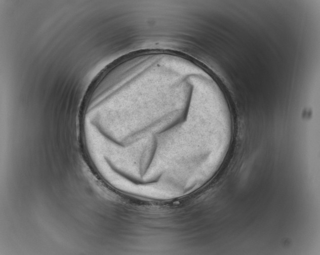 X0000112740980200909171157