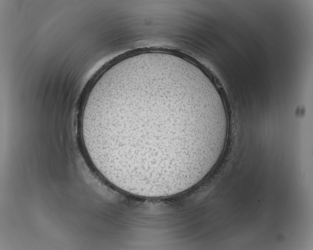 X0000112740983200909171157