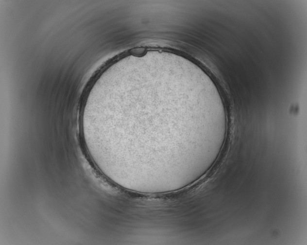 X0000112740984200909171157