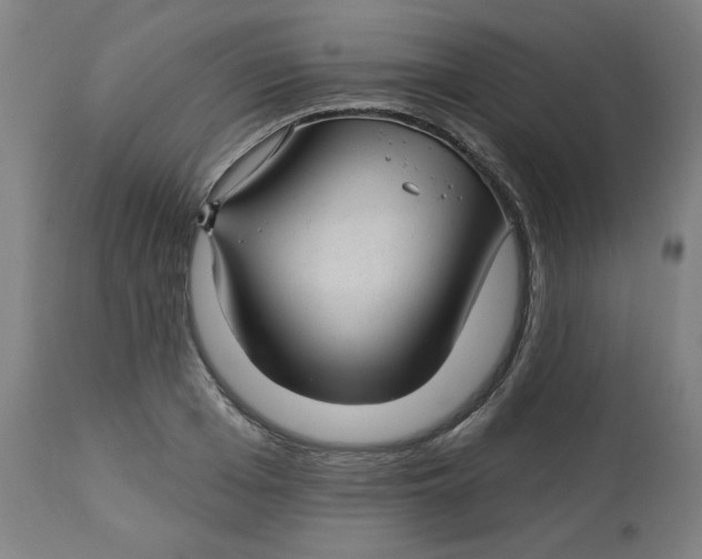 X0000112740985200909171157