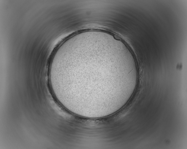 X0000112740987200909171157