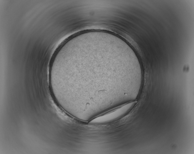 X0000112740988200909171157