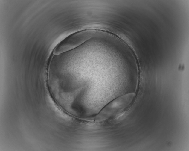 X0000112740989200909171157