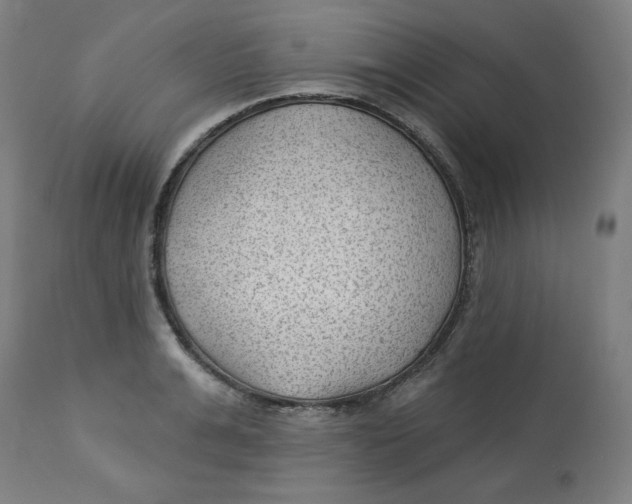 X0000112740991200909171157