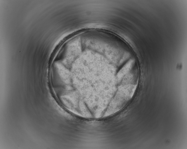 X0000112740992200909171157