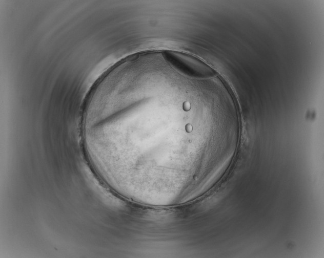 X0000112740997200909171157