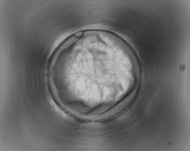 X0000112740998200909171157