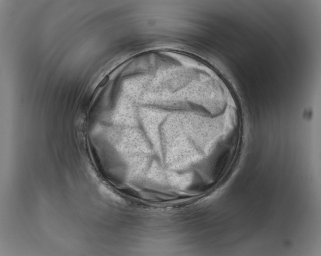 X0000112741001200909171157