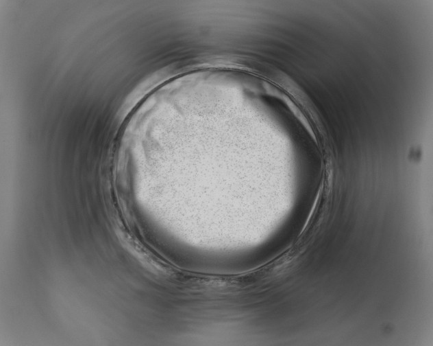 X0000112741002200909171157