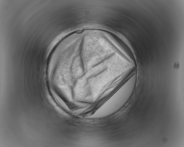 X0000112741005200909171157