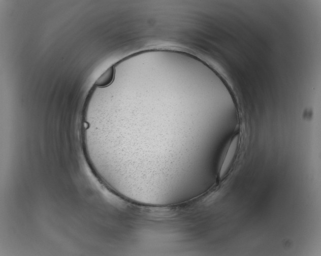 X0000112741007200909171157