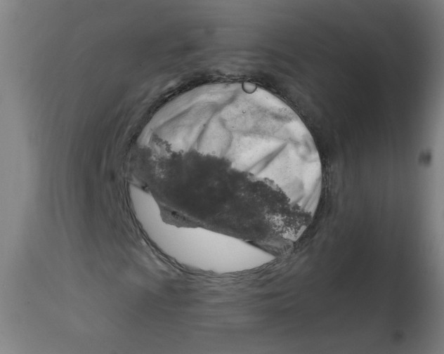 X0000112741009200909171156