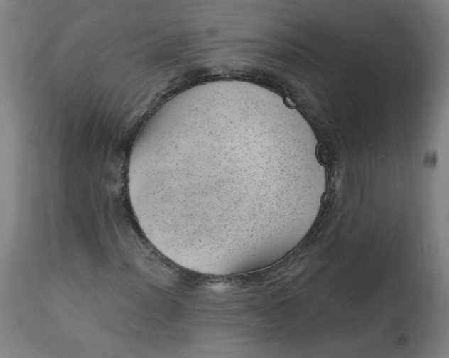 X0000112741012200909171156