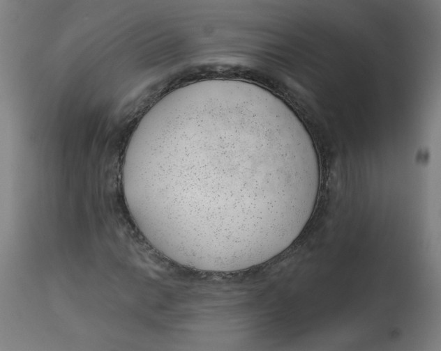 X0000112741014200909171156