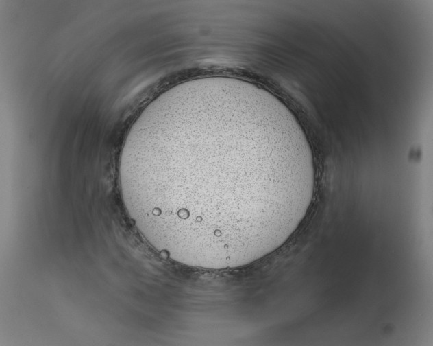 X0000112741015200909171156