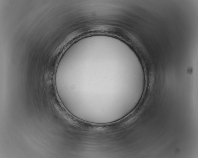 X0000112741017200909171156